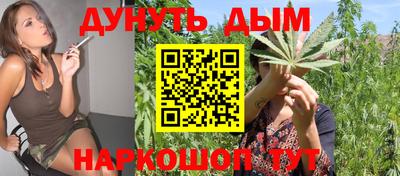 дмт Донской