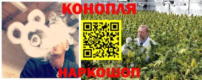 бошки Гусев