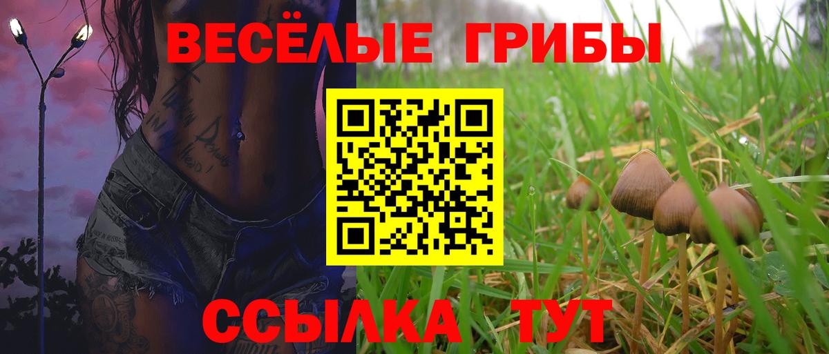 наркошоп  Псилоцибиновые грибы мицелий  Лысьва  Вход с VPN  Галлюциногенные грибы GOLDEN TEACHER 