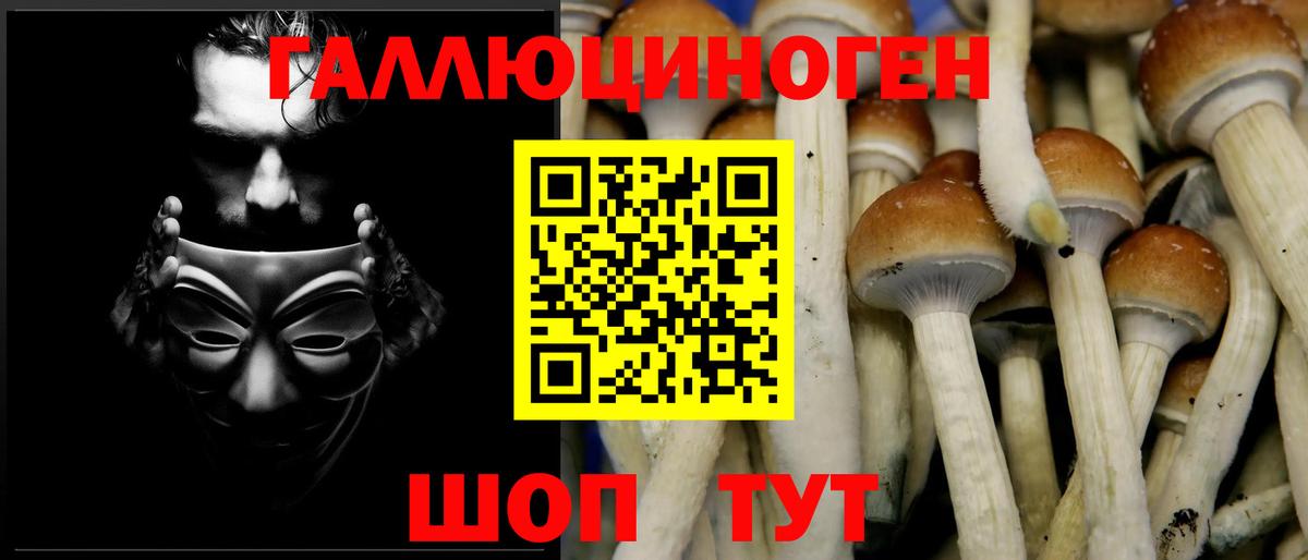 Галлюциногенные грибы GOLDEN TEACHER Лысьва